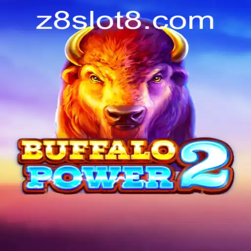 An In-Depth Look at Buffalo Power 2 and Z8slot Connection